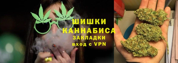 прущие грибы Пролетарск