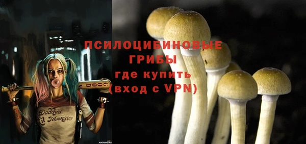 прущие грибы Пролетарск