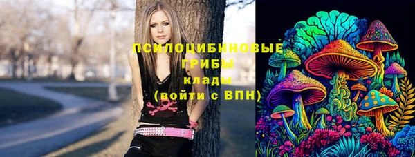 прущие грибы Пролетарск