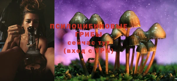 mix Протвино