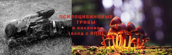 mix Протвино
